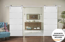 Load image into Gallery viewer, Planum 0020 White Silk Double Barn Door and Silver Rail