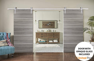 Planum 0020 Ginger Ash Double Barn Door and Silver Rail