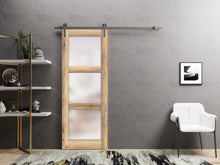 Load image into Gallery viewer, Lucia 2552 Oak Barn Door Slab with Frosted Glass