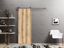 Load image into Gallery viewer, Planum 0010 Oak Barn Door and Silver Rail