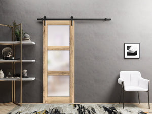 Quadro 4002 Oak Barn Door with Frosted Glass and Black Rail
