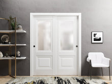 Load image into Gallery viewer, Lucia 8822 White Silk Barn Door Slab with Frosted Glass