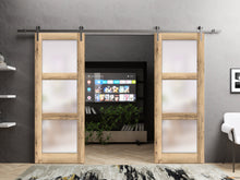 Load image into Gallery viewer, Lucia 2552 Oak Double Barn Door with Frosted Glass and Silver Rail