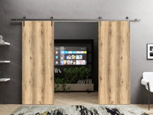 Load image into Gallery viewer, Planum 0010 Oak Double Barn Door and Silver Rail