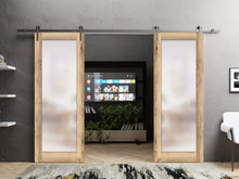 Load image into Gallery viewer, Planum 2102 Oak Double Barn Door with Frosted Glass and Silver Rail