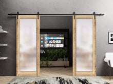 Load image into Gallery viewer, Planum 2102 Oak Double Barn Door with Frosted Glass and Black Rail