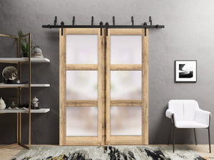 Lucia 2552 Oak Double Barn Door with Frosted Glass and Black Bypass Rail