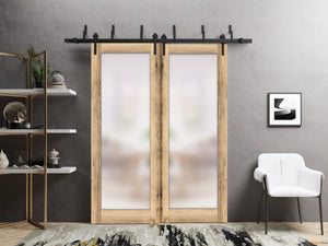 Planum 2102 Oak Double Barn Door with Frosted Glass and Black Bypass Rail