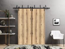 Load image into Gallery viewer, Planum 0010 Oak Double Barn Door and Black Bypass Rail
