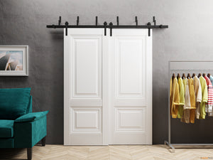 Lucia 8831 White Silk Double Barn Door and Black Bypass Rail