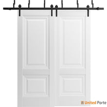 Load image into Gallery viewer, Lucia 8831 White Silk Double Barn Door and Black Bypass Rail