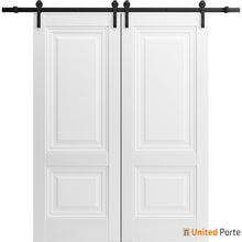 Load image into Gallery viewer, Lucia 8831 White Silk Double Barn Door and Black Rail