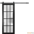Felicia 3312 Matte Black Barn Door with Frosted Glass and Black Rail