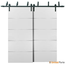 Load image into Gallery viewer, Planum 0020 White Silk Double Barn Door and Black Bypass Rail