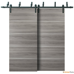 Planum 0020 Ginger Ash Double Barn Door and Black Bypass Rail