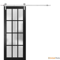 Felicia 3312 Matte Black Barn Door with Frosted Glass and Silver Rail