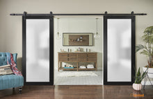 Load image into Gallery viewer, Planum 2102 Matte Black Double Barn Door with Frosted Glass and Black Rail