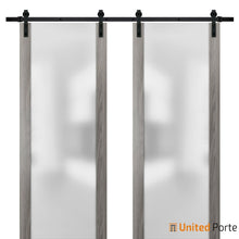 Load image into Gallery viewer, Planum 4114 Ginger Ash Double Barn Door with Frosted Glass and Black Rail