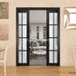 Felicia 3312 Black Matte Barn Door Slab with 12 Lites Frosted Glass