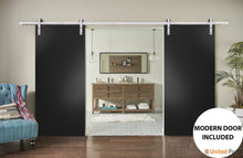 Load image into Gallery viewer, Planum 0010 Black Matte Double Barn Door and Silver Rail