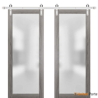 Planum 2102 Ginger Ash Double Barn Door with Frosted Glass and Silver Rail