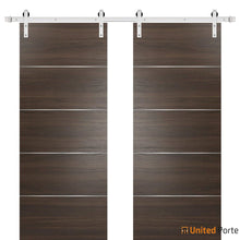 Load image into Gallery viewer, Planum 0020 Chocolate Ash Double Barn Door and Silver Rail