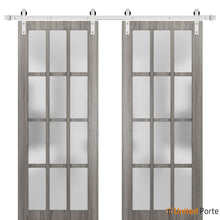 Load image into Gallery viewer, Felicia 3312 Ginger Ash Grey Double Barn Door with 12 Lites Frosted Glass and Silver Rail
