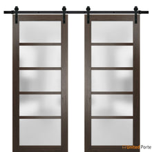 Load image into Gallery viewer, Quadro 4002 Chocolate Ash Double Barn Door with Frosted Glass and Black Rail