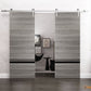 Planum 0012 Ginger Ash Double Barn Door and Silver Rail