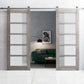 Quadro 4002 Nebraska Grey Double Barn Door with Frosted Glass and Silver Rail