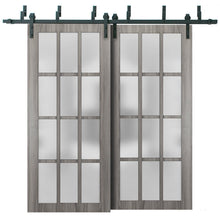 Load image into Gallery viewer, Felicia 3312 Ginger Ash Double Barn Door with 12 Lites Frosted Glass | Black Bypass Rails