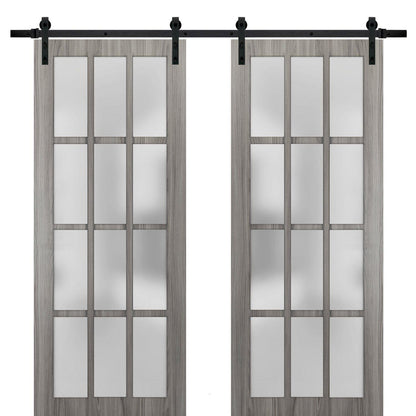 Felicia 3312 Ginger Ash Gray Double Barn Door with 12 Lites Frosted Glass | Black Rail