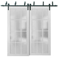 Felicia 3312 Matte White Double Barn Door with 12 Lites Frosted Glass | Black Bypass Rails