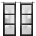 Lucia 2552 Matte Black Double Barn Door with Frosted Glass | Black Rail