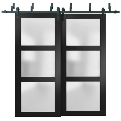 Lucia 2552 Matte Black Double Barn Door with Frosted Glass | Black Bypass Rails