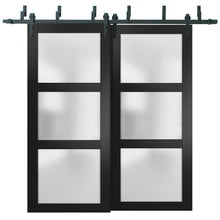 Load image into Gallery viewer, Lucia 2552 Matte Black Double Barn Door with Frosted Glass | Black Bypass Rails