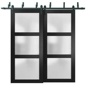 Lucia 2552 Matte Black Double Barn Door with Frosted Glass | Black Bypass Rails