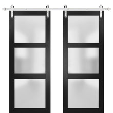 Load image into Gallery viewer, Lucia 2552 Matte Black Double Barn Door with Frosted Glass | Stainless Steel Rail