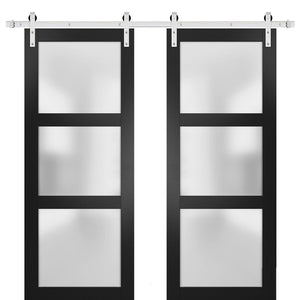 Lucia 2552 Matte Black Double Barn Door with Frosted Glass | Stainless Steel Rail