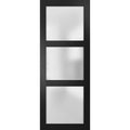 Lucia 2552 Matte Black Barn Door Slab with Frosted Glass