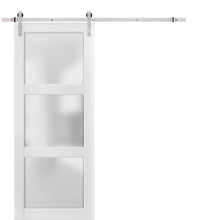 Load image into Gallery viewer, Lucia 2552 White Barn Door with Frosted Glass and Stainless Rail