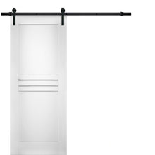 Load image into Gallery viewer, Mela 7444 White Silk Barn Door and Black Rail
