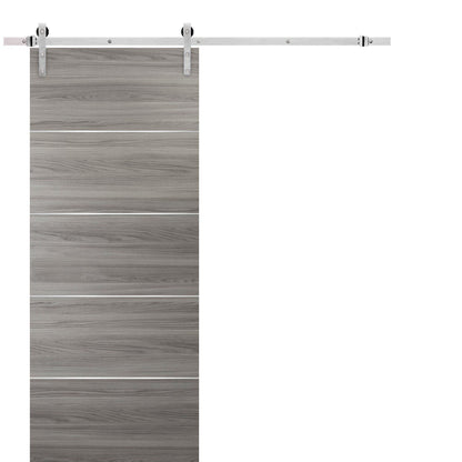Planum 0020 Ginger Ash Barn Door and Stainless Rail