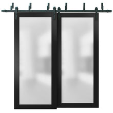 Load image into Gallery viewer, Planum 2102 Matte Black Double Barn Door with Frosted Glass | Black Bypass Rail
