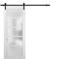 Quadro 4002 White Silk Barn Door with Frosted Glass and Black Rail