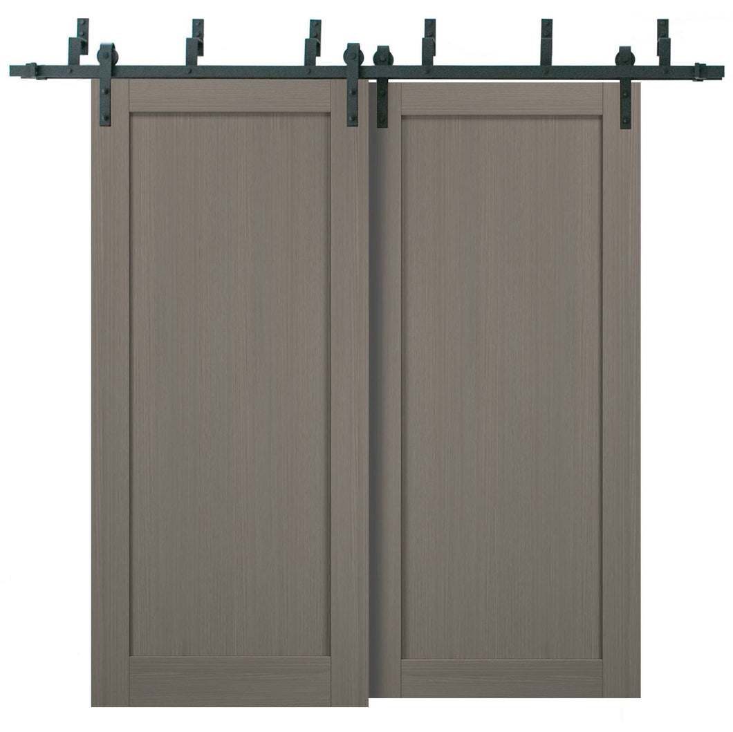 Quadro 4111 Grey Ash Double Barn Door | Black Bypass Rails