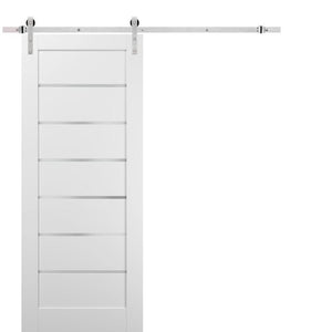 Quadro 4117 White Silk Barn Door with Frosted Glass and Stainless Rail