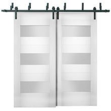Load image into Gallery viewer, Sete 6003 White Silk Barn Doors with Frosted Glass | Black Bypass Rails