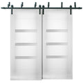 Sete 6900 White Silk Barn Doors with Frosted Glass | Black Bypass Rail