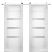 Load image into Gallery viewer, Sete 6900 White Silk Double Barn Door with Frosted Glass | Stainless Steel Rail